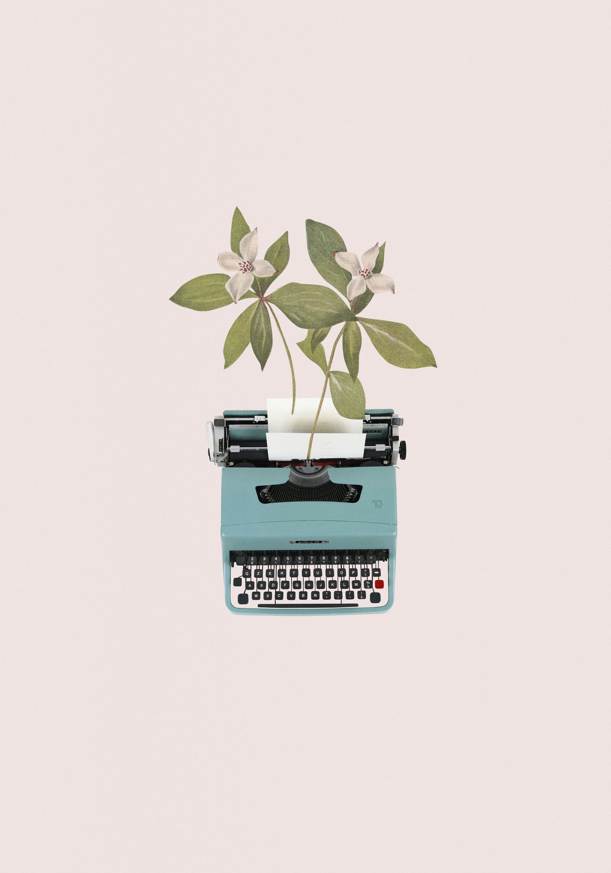 Botanical typewriter - Poster / Art Print