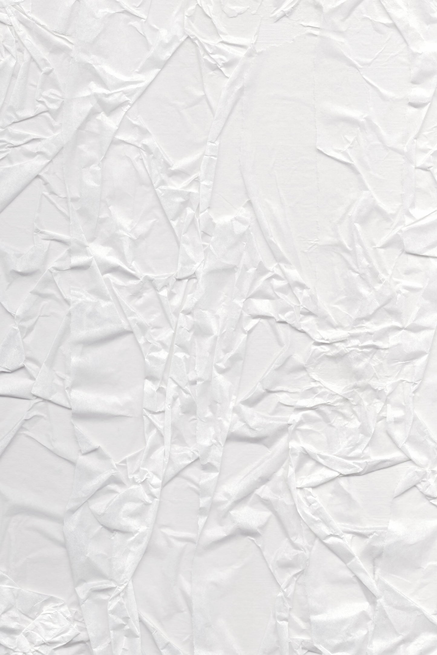 Crinkled Whispers - Poster / Art Print