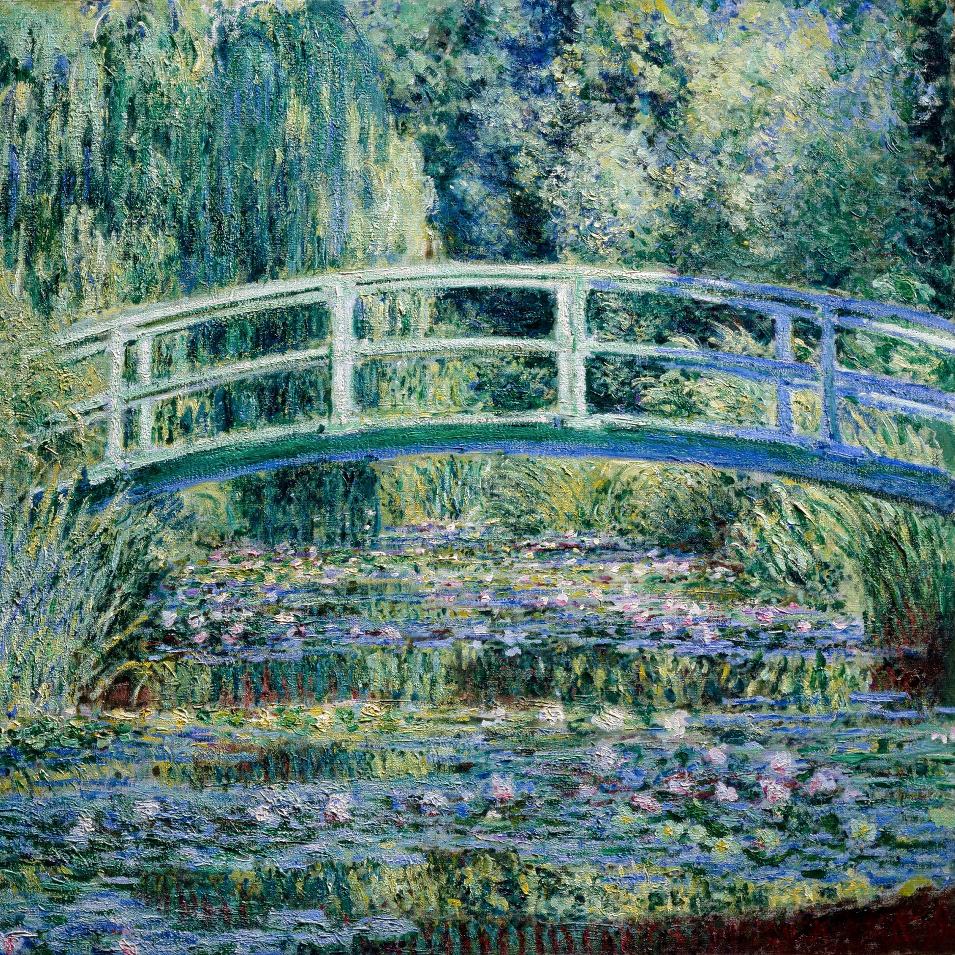Water Lily Pond - Poster / Art Print