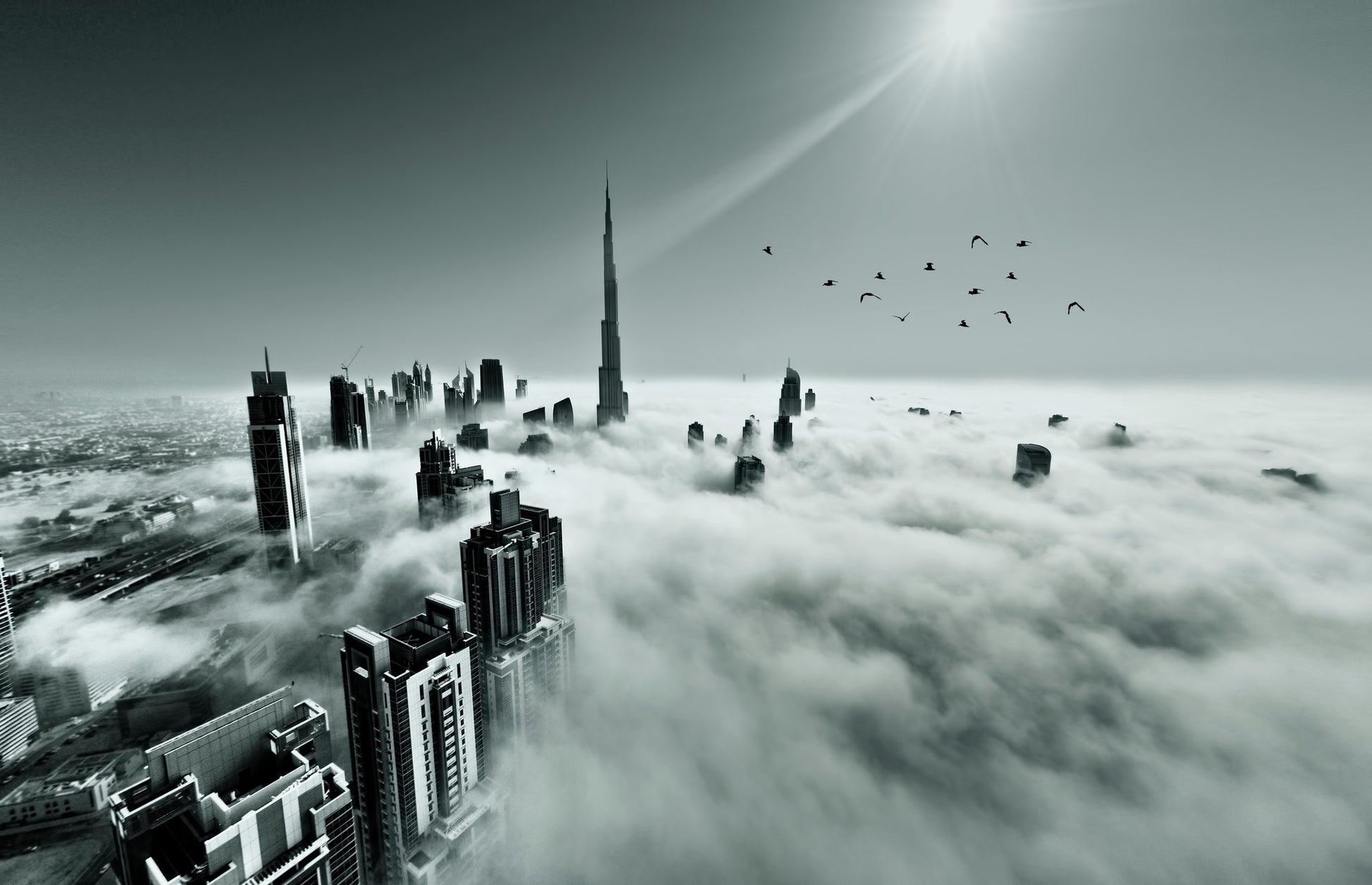 Up up and Above - Poster / Art Print