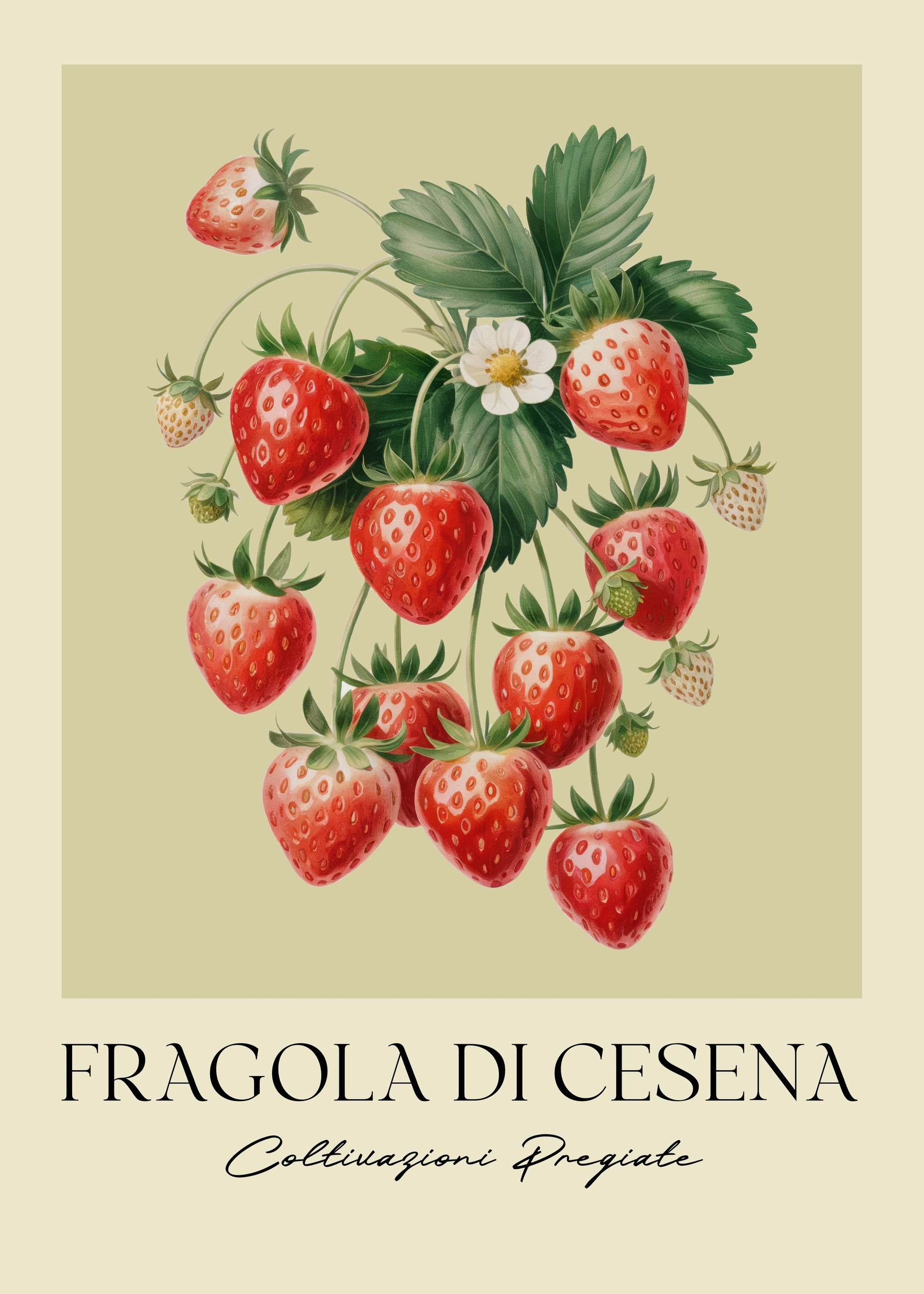 Fragola Di Cesena - Poster / Art Print