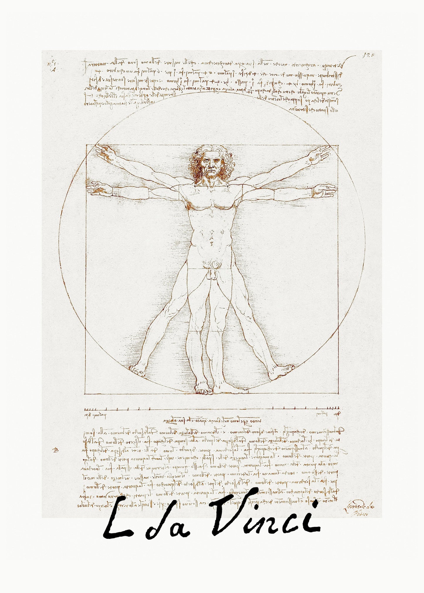 Vitruvian Man Signature - Poster / Art Print