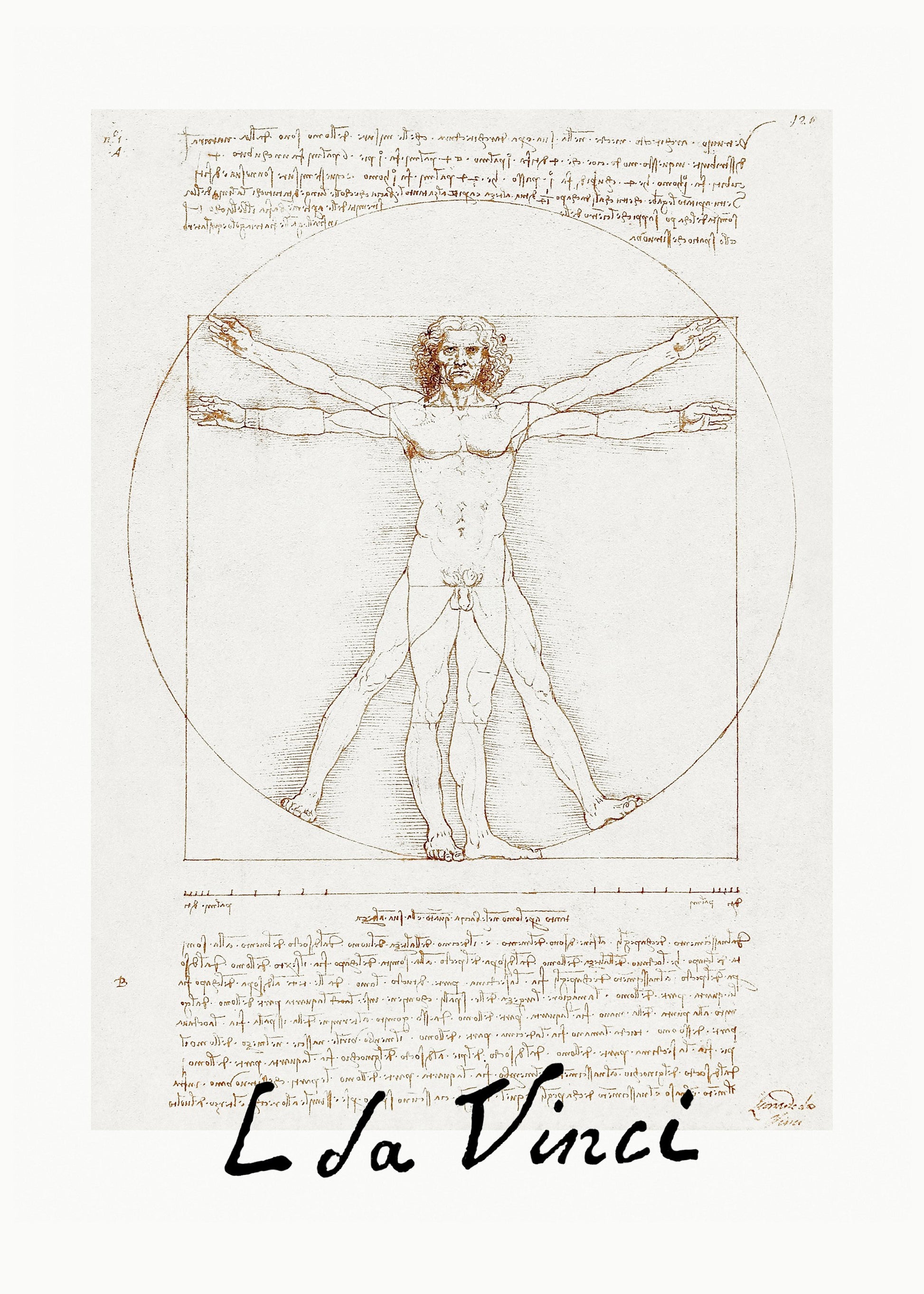 Vitruvian Man Signature - Poster / Art Print
