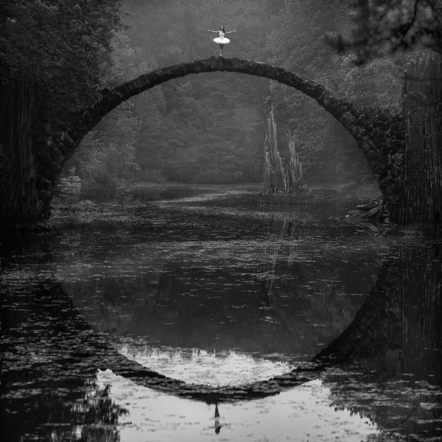 Ring - Poster / Art Print