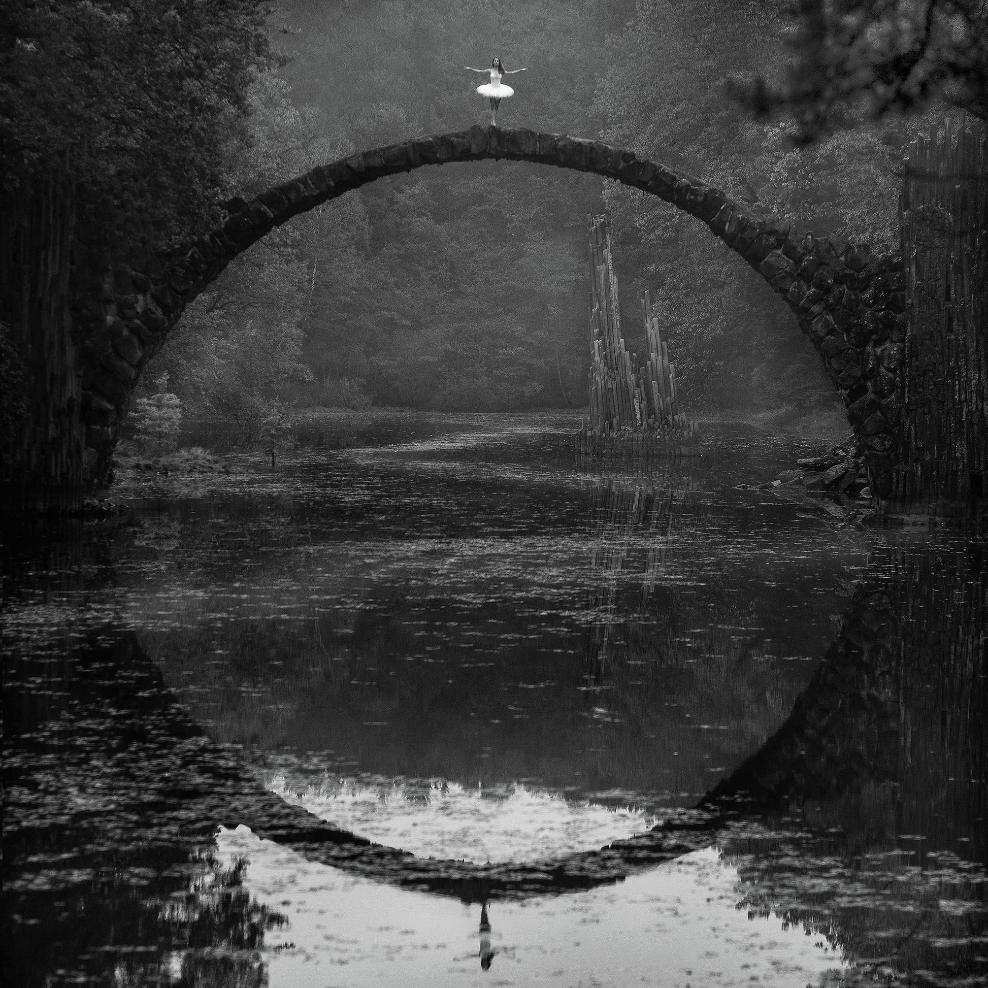 Ring - Poster / Art Print
