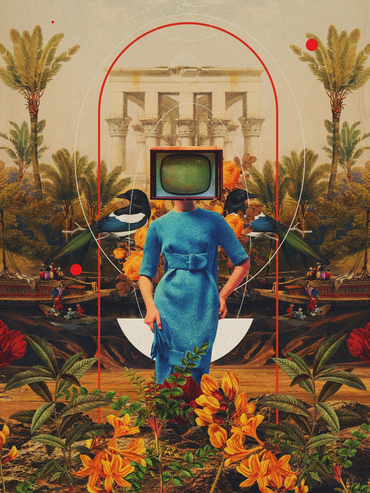 Her Asymmetries - Poster / Art Print