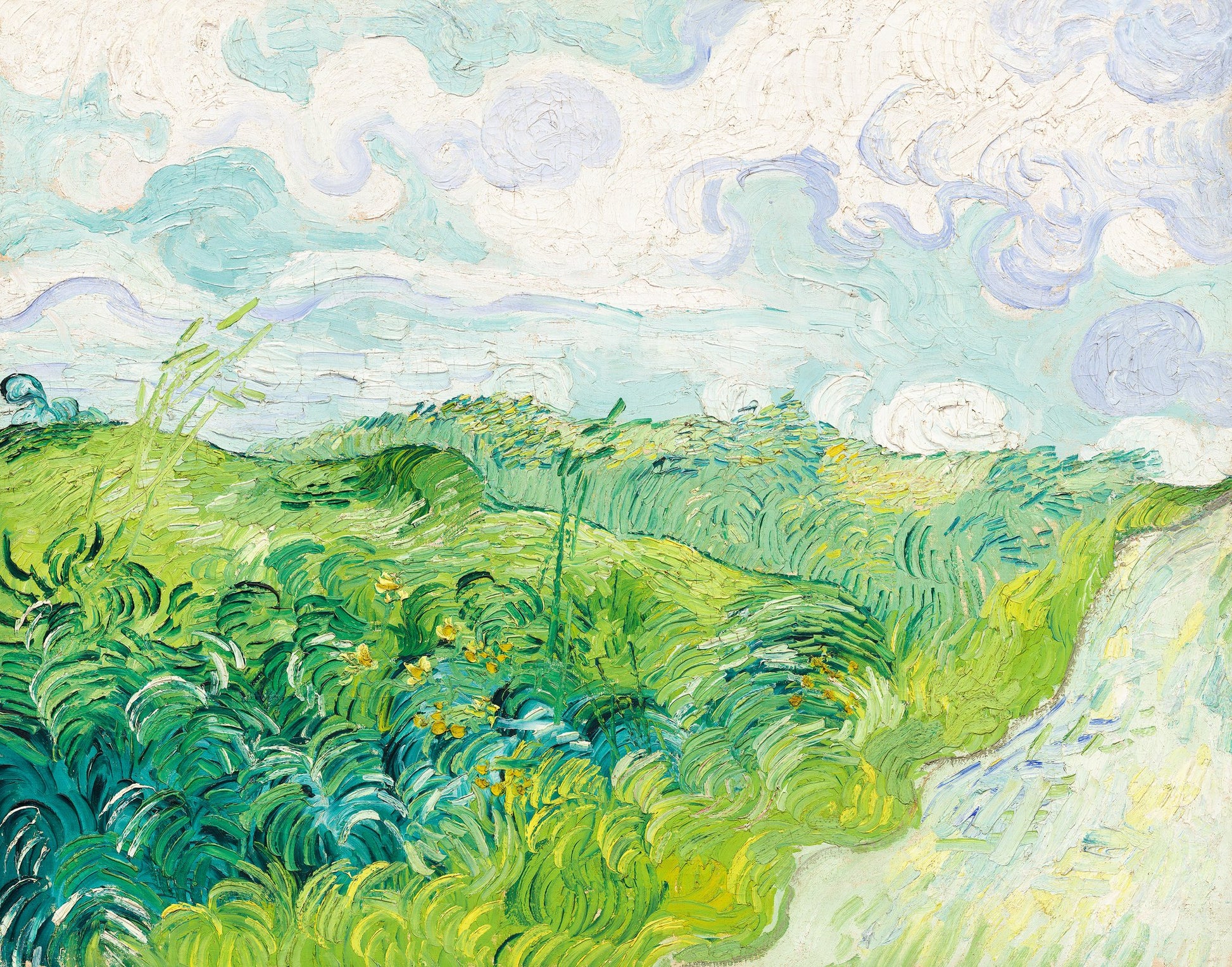 Green Wheat Fields, Auvers (1890) By Vincent Van Gogh - Poster / Art Print