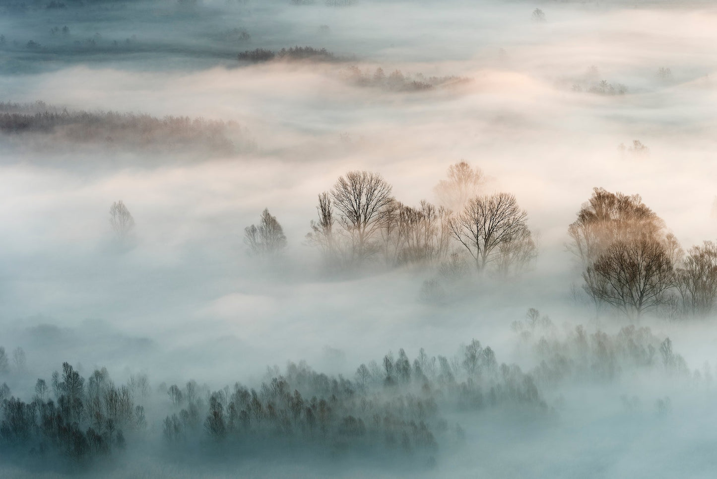 Winter fog - Poster / Art Print