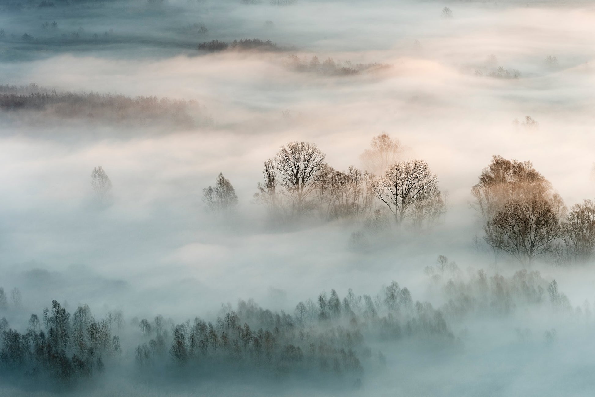 Winter fog - Poster / Art Print
