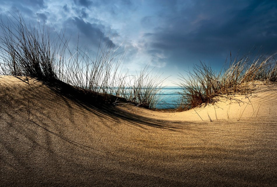 Dunes........... - Poster / Art Print