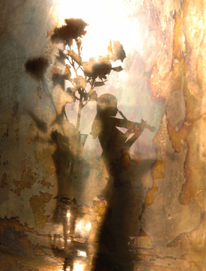 Music of light and shadow - Poster / Art Print