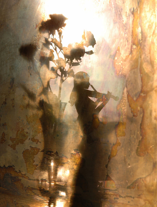 Music of light and shadow - Poster / Art Print