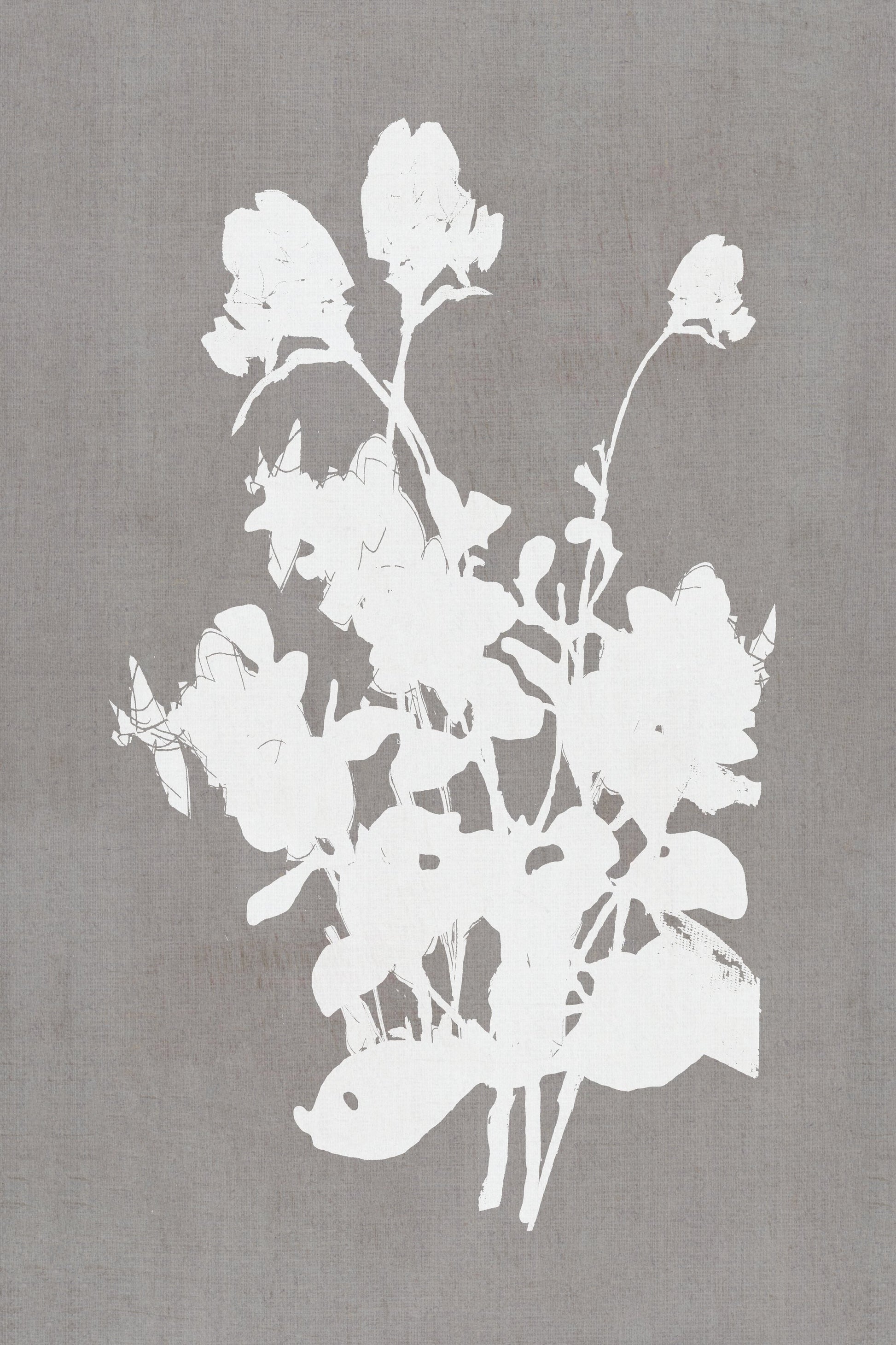 Botanical Illustration 3 - Poster / Art Print