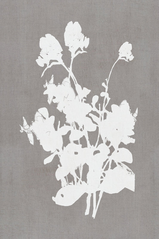 Botanical Illustration 3 - Poster / Art Print