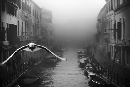 Seagull from the mist - Poster / Art Print