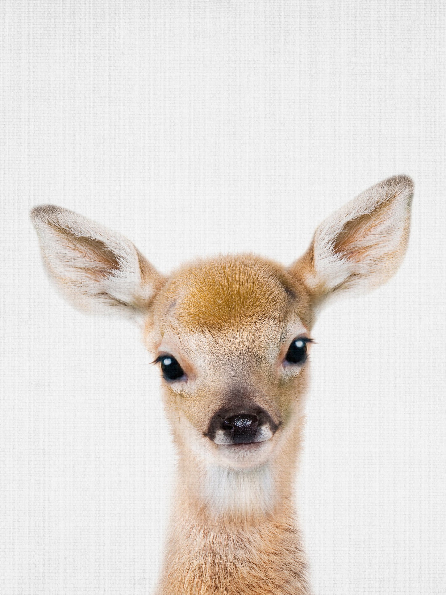 Peekaboo Baby Deer - Poster / Art Print