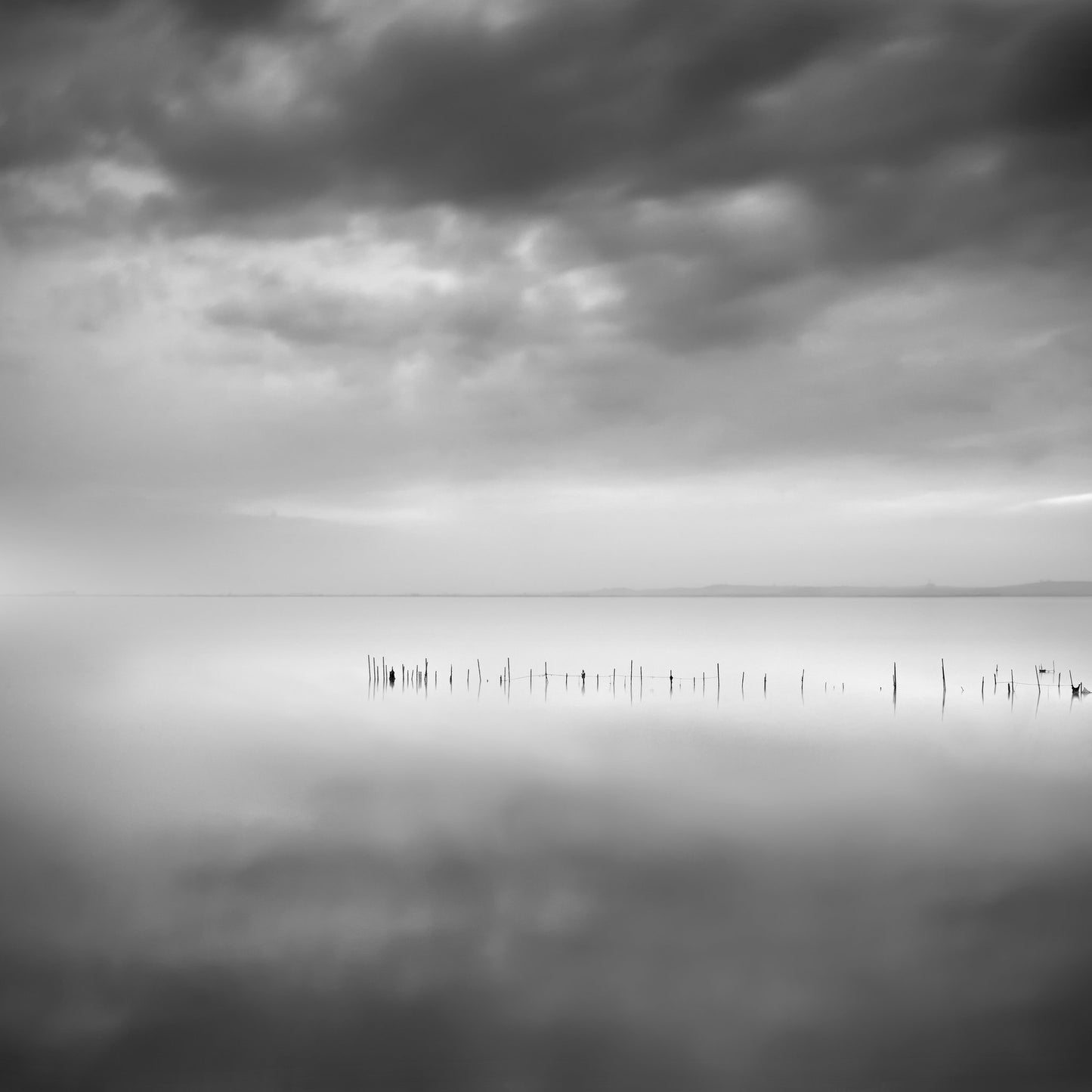 Sixty shades of gray - Poster / Art Print