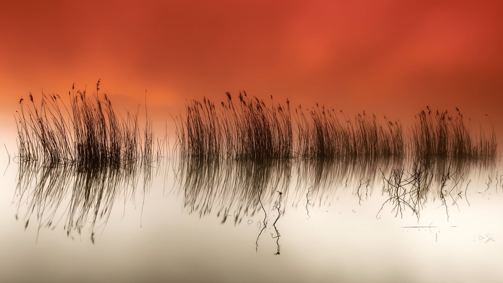 serenity - Poster / Art Print