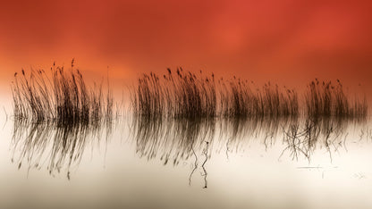 serenity - Poster / Art Print
