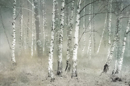 Morning silence - Poster / Art Print