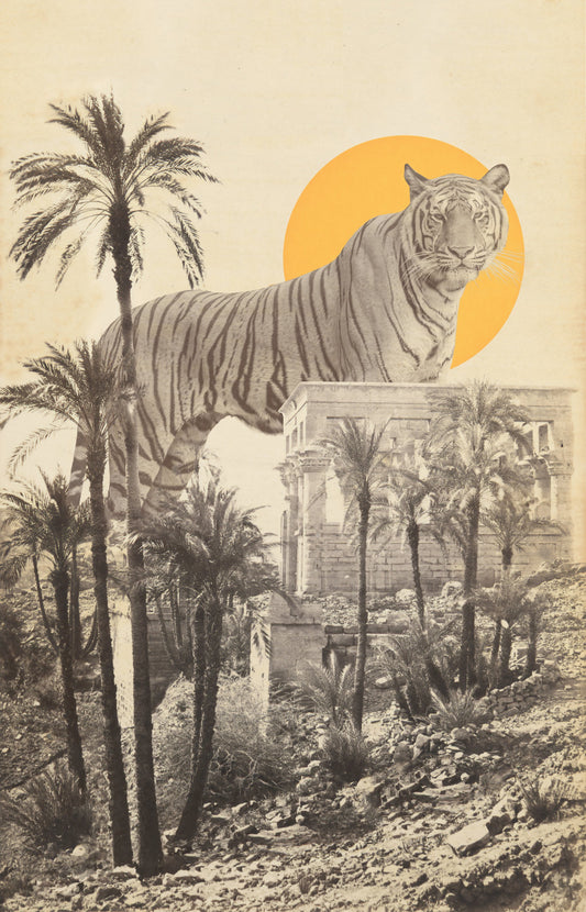 Giant Tiger In Ruins - Poster / Art Print