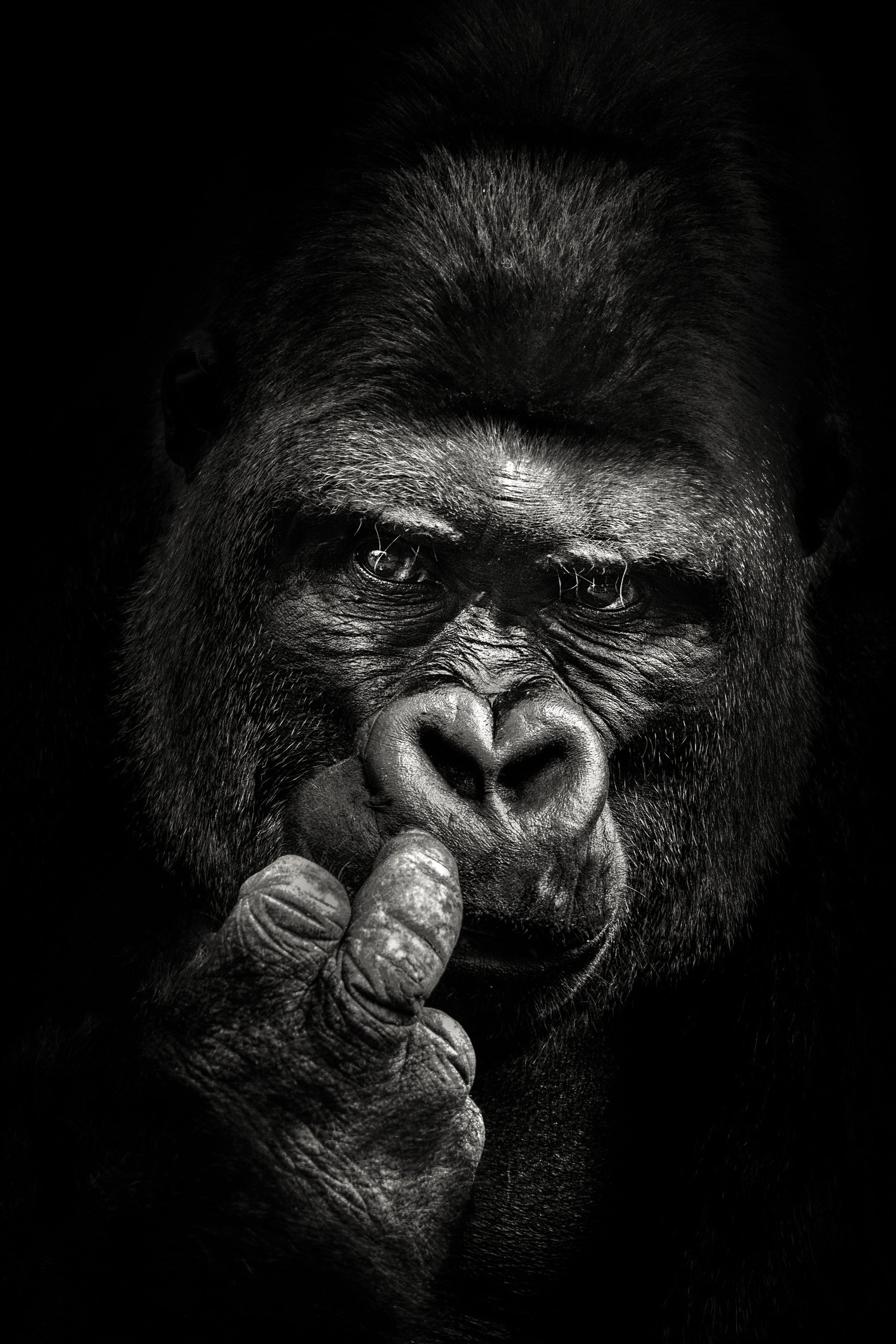 Attitude - Poster / Art Print