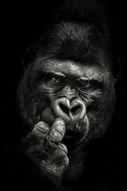 Attitude - Poster / Art Print