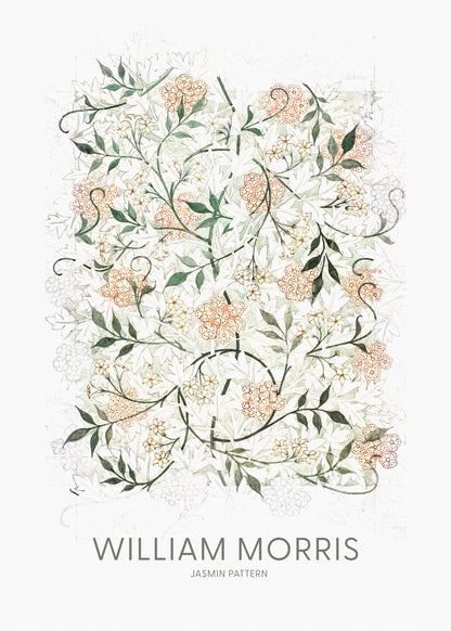 Jasmine - Poster / Art Print
