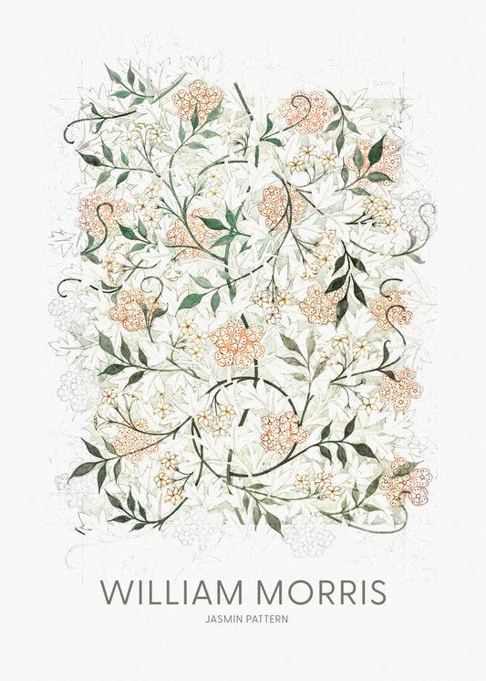 Jasmine - Poster / Art Print