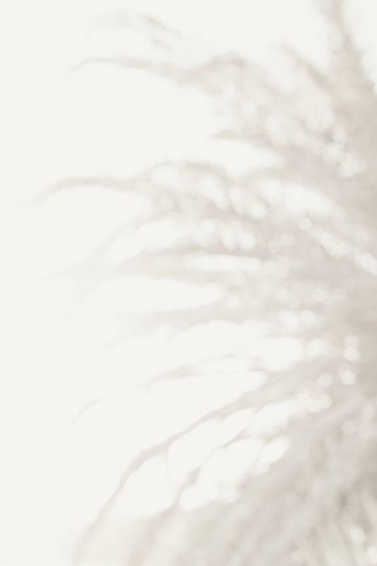 Palm_008 - Poster / Art Print