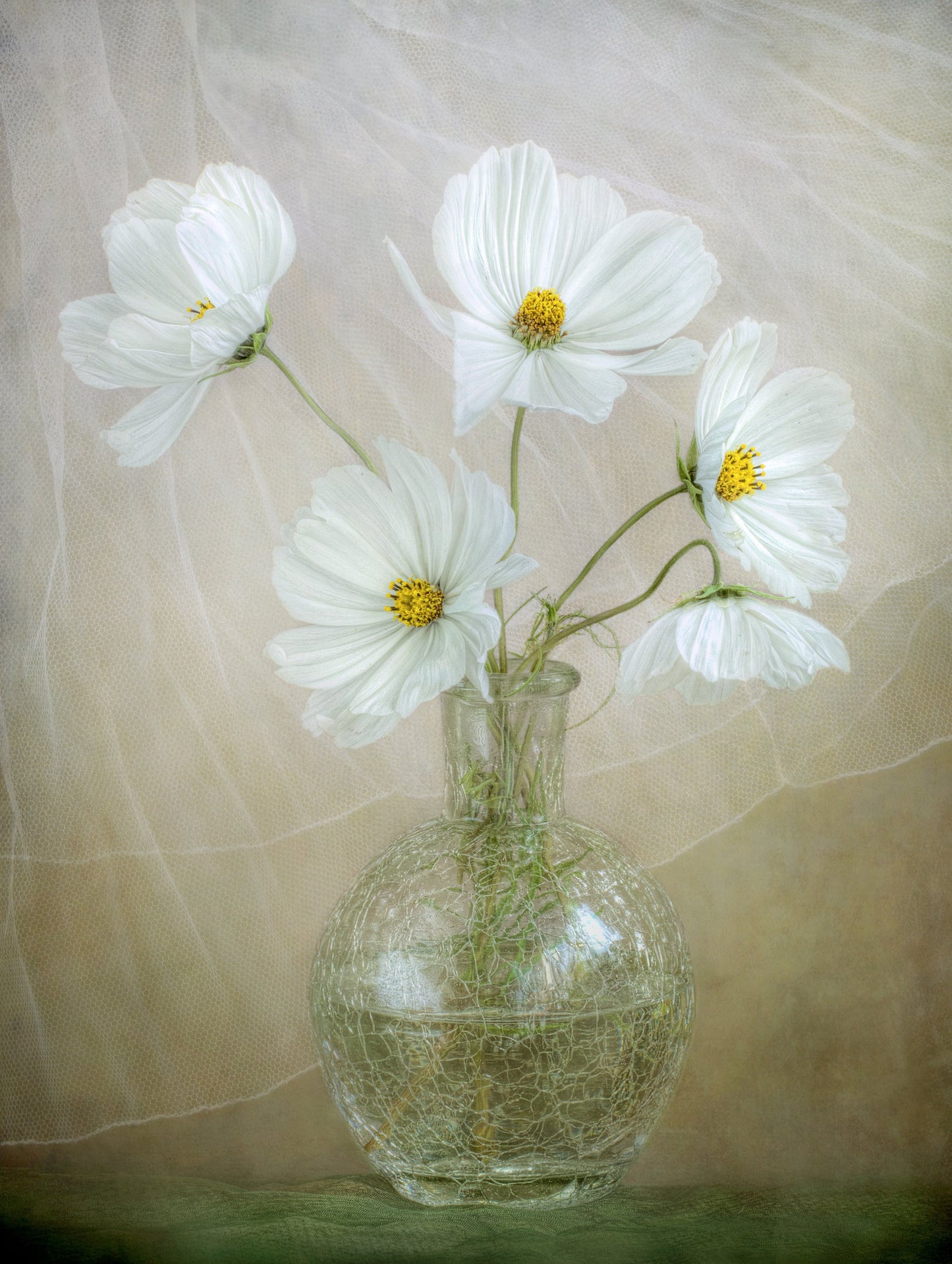 Cosmos breeze - Poster / Art Print