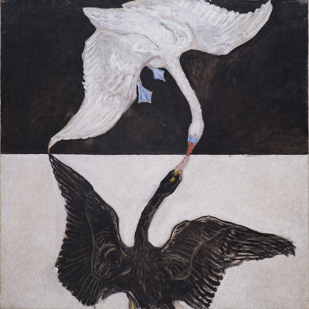 Hilma Af Klint   the Swan - Poster / Art Print