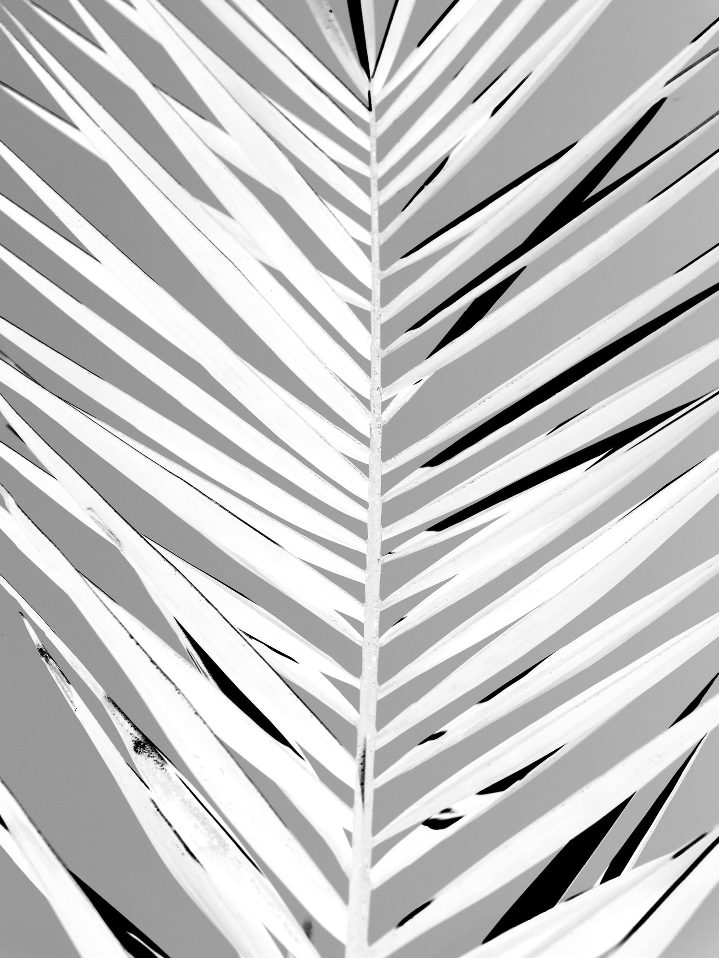 Patroon - Poster / Art Print