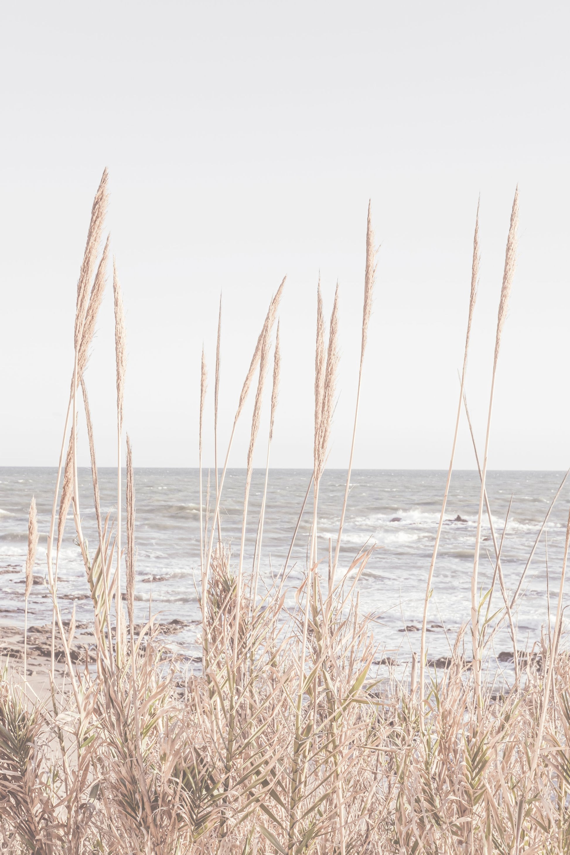 Beach_Vass_001 - Poster / Art Print