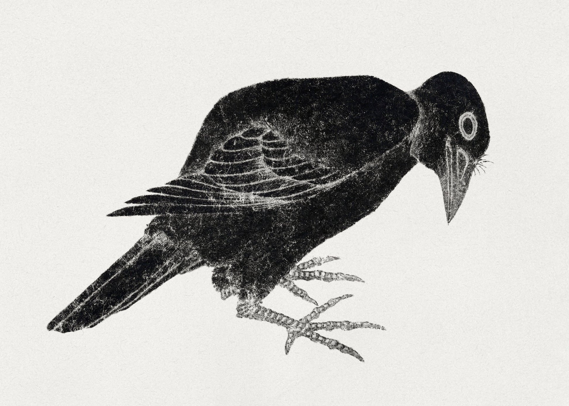 Bird, From Album of Sketches (1814) Vintage Japanese Woodblock Prints - Poster / Art Print