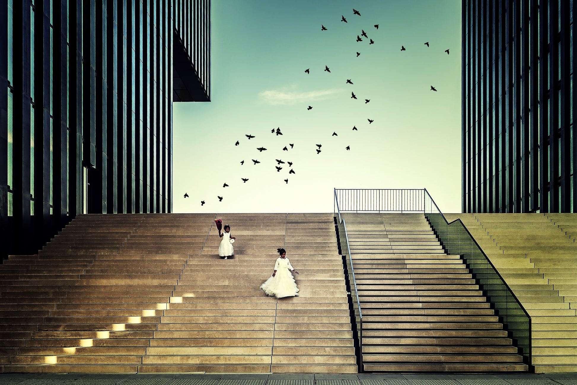 Free like a bird... - Poster / Art Print